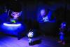 JPG - 6 ko JPG - 6 ko